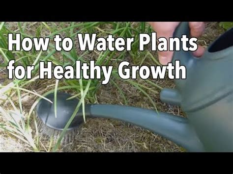 Best days to cut hair to encourage growth old farmer's almanac | farmers almanac best days to cut hair for growth. How to Water Plants for Healthy Growth | The Old Farmer's ...