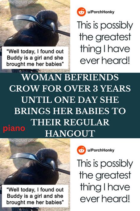 Woman Befriends Crow For Over 3 Years Until One Day She Brings Her