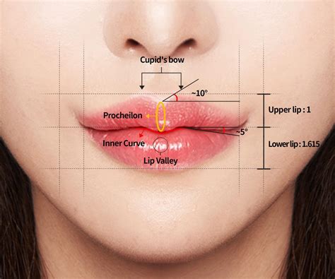 Cupids Bow Surgery Secret To Korean Lips Hyundai Aesthetics Blog