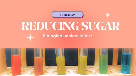 A Level Biology Lab Benedicts Test Testing For Reducing Sugars