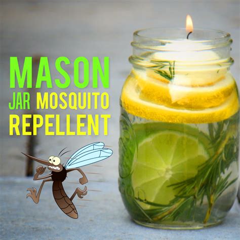 Dont Let Mosquitoes Ruin Your Summer Fun This All Natural Mason Jar