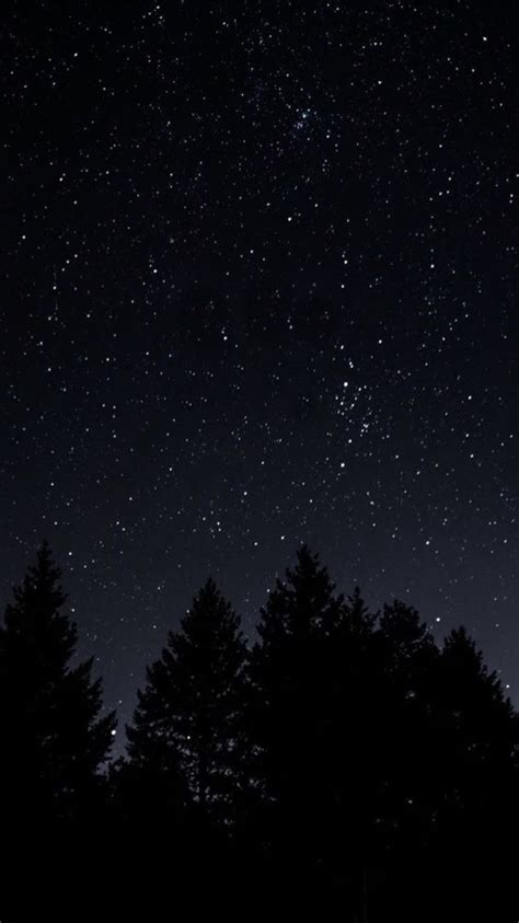 The Night Sky Is Filled With Stars And Trees