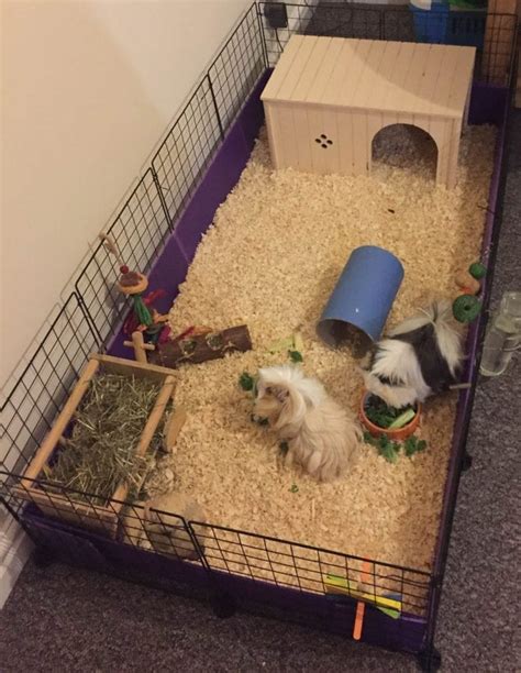 Gallery C C Guinea Pig Cages Mesh And Grid Cages For Pets