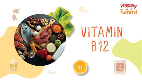 Top Sources Of Vitamin B12 Uses Benefits Of Vitamin B12 Happytummy