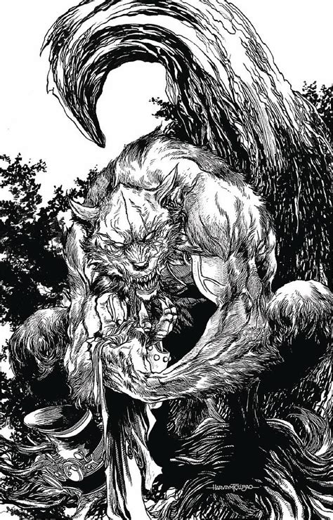 Buy Comics Van Helsing Vs The Werewolf 6 Cvr D Tolibao