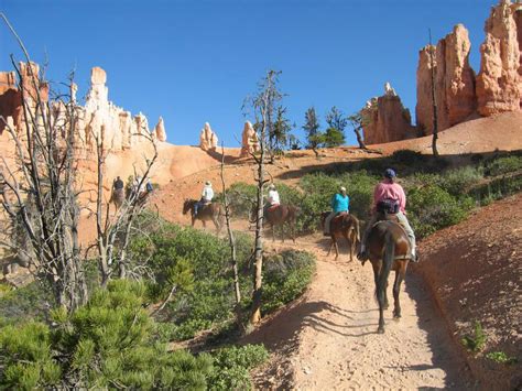 Horseback Riders In Bryce Canyon National Park Utah Image Free Stock