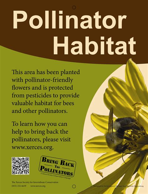 Pollinators Need Our Help