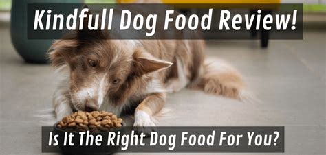 Kindfull Dog Food Is It The Right Choice For You Fun With Pups