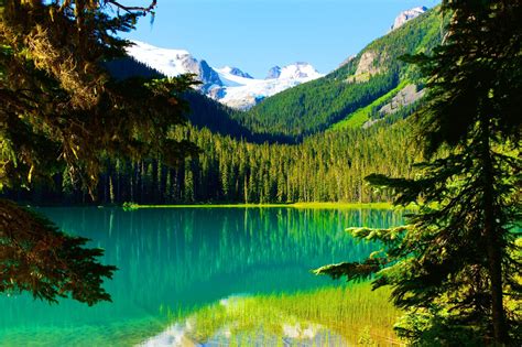 Nature Landscape Trees Lake Mountain Forest Summer Water Snowy Peak British Columbia