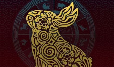 So far, 2021 has been a year of learnings for you, courtesy of saturn in aquarius. Rabbit 2021 zodiac horoscope: What your Chinese zodiac ...