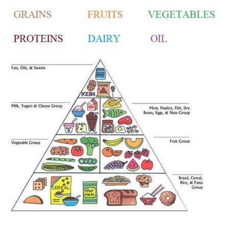 Food Pyramid Activity For 5
