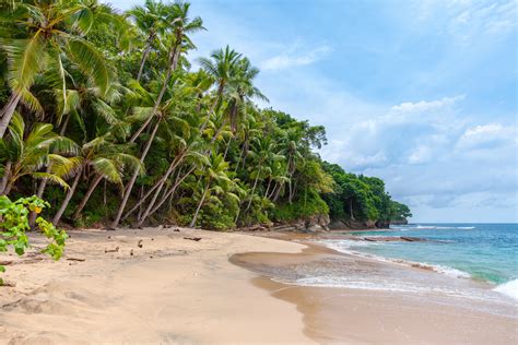 Dominical beach is a famous surfing destinations, situated half way between the south pacific and the central pacific. Bijzondere overnachtingen in Dominical, Costa Rica ...