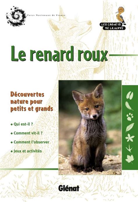 Livre Le Renard Roux Bruno Veillet Glénat Les Carnets De La Huppe