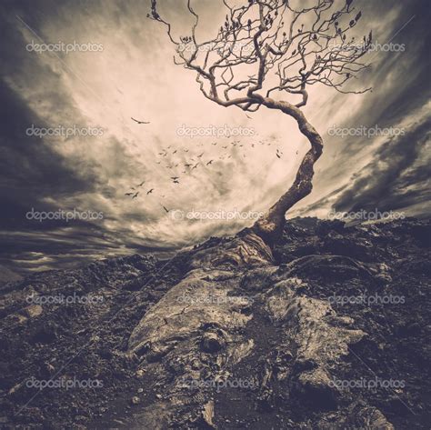 Dramatic Sky Over Old Lonely Tree — Stock Photo © Nejron 44582385