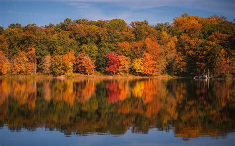 Download Wallpaper 3840x2400 Forest Trees Reflection Autumn River