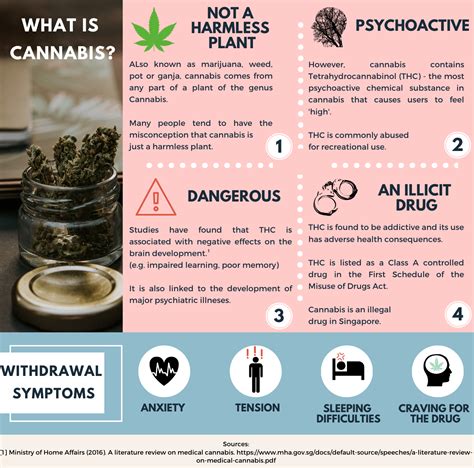 Harms Of Cannabis Use