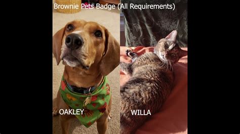 If you hope to have a pet someday, choose the pet purchase the brownie it's your story badge activity set to complete all the requirements and. Brownie Pets Badge - YouTube