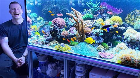 The Best Reef Tanks 2020 Review Saltwater Aquarium Coral