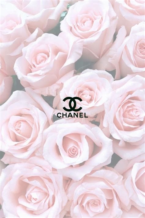 Rose Gold Gucci Wallpaper ~ Gold Rose Iphone Wallpapers Background