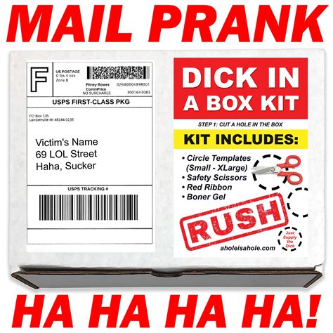 Prank Mail Dick In A Box Kit Prank Box Gag T Funny Prank Etsy