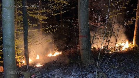 Waldbrandgefahr Im Kanton Bern Telebaern