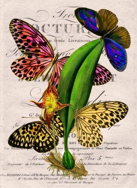 Botanical Butterfly Art Print By Bellesaintemaison On Etsy Vintage