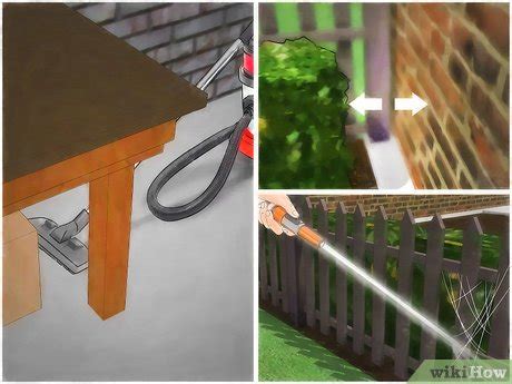 Additionally, you can trap and kill the critters to get rid of them. 3 Ways to Kill Black Widow Spiders - wikiHow