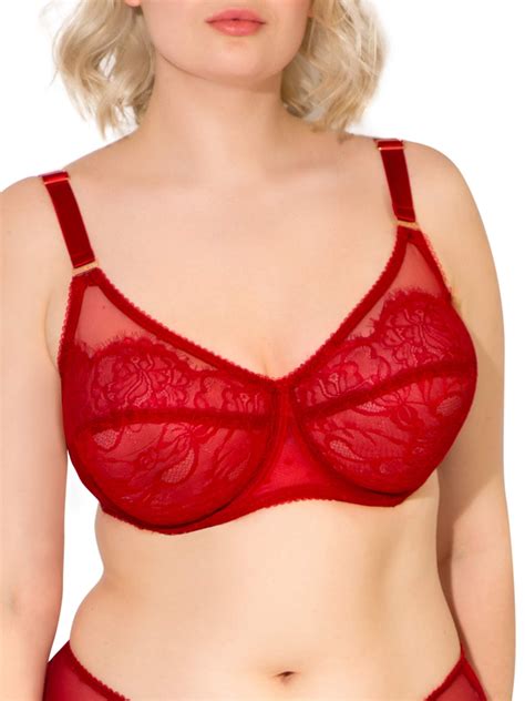 Smart And Sexy Womens Plus Size Retro Lace And Mesh Unlined Underwire Bra