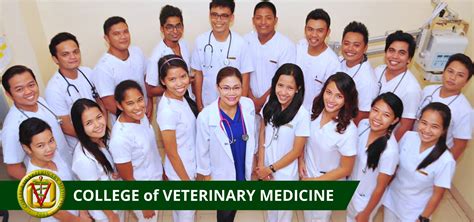 Veterinary School In Cebu Infolearners