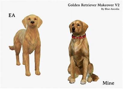 Pets Sims Golden Ancolia Retriever Makeover Dark