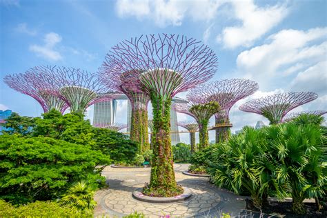 【シンガポール】ガーデンズバイザベイ｜巨大な庭園でくつろごう！ おすすめ旅行を探すならトラベルブックtravelbook