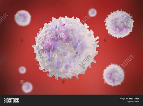 Leukocyte White Blood Image And Photo Free Trial Bigstock