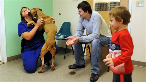 Fairfield County Dog Shelter Helps The Forgotten