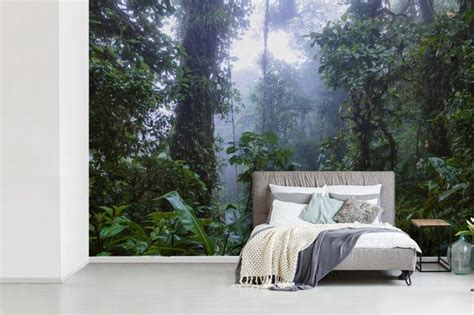 Behang Fotobehang Tropische Bomen In Het Bosque Nuboso Monteverde