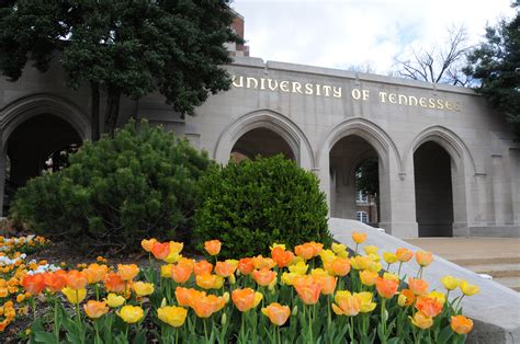 The University Of Tennessee Health Science Center Hosts Open House To