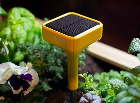 Edyn Garden Sensor — Accessories Better Living Through Design