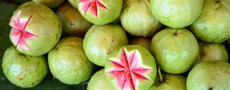 5 Tropical Fruits That Grow In South Florida