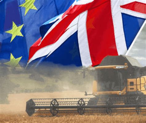 Viewpoint Adapt Or Else Why Britain Is Shaking Off Shackles Of European Crop Biotechnology