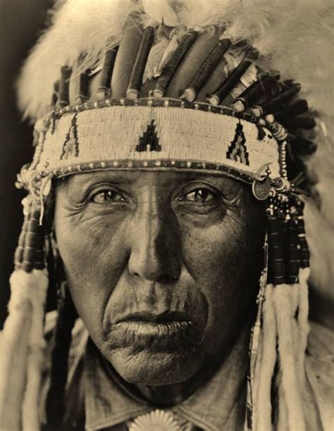 49 Best Chief Red Birdaaron Brock Images On Pinterest Genealogy