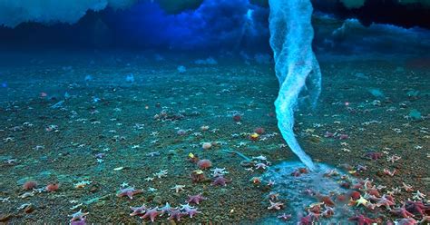 3 Strange And Amazing Underwater Phenomena Sport Diver