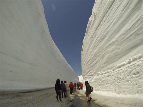 Victoria In Japan Land The Snow Wall Of The Alpine Route