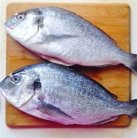 Greek Oven Baked Sea Bream Recipe Tsipoura Real Greek Recipes