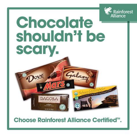 Choose Chocolate Made With Rainforest Alliance Certified Cocoa This