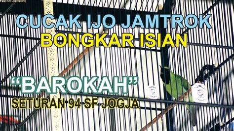 Maybe you would like to learn more about one of these? CUCAK IJO JAMTROK BONGKAR ISIAN "BAROKAH" SETURAN 94 SF ...