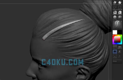 Zbrush快速雕刻一个女性人物头部轮廓头发五官模型案例素材3d资源下载 C4d库