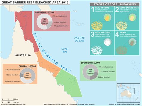 Great Barrier Reef Bleaching Map Student Center