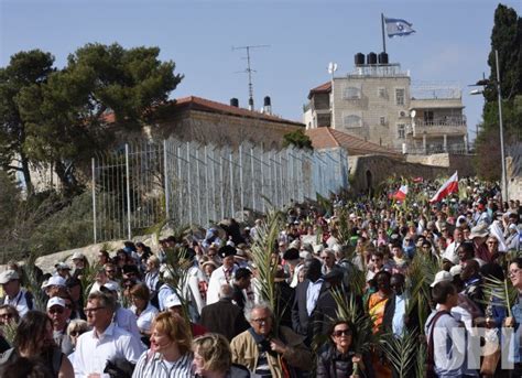 Photo Christians Wave Palm Branches On Palm Sunday Jerusalem