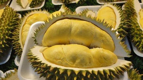 7 Khasiat Durian Untuk Kesihatan Yang Jarang Orang Tahu Murai My