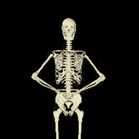 🔥 46 Funny Skeleton Wallpaper Wallpapersafari