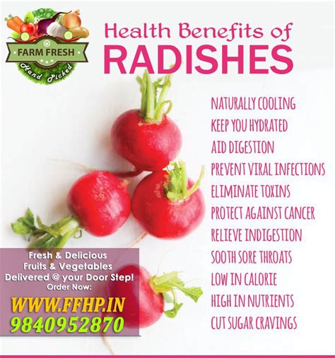 Radish that usually found in your salad or other radish (raphanus sativus) belong to brassicaceae family. Health Benefits of Radishes! | Health benefits of radishes ...